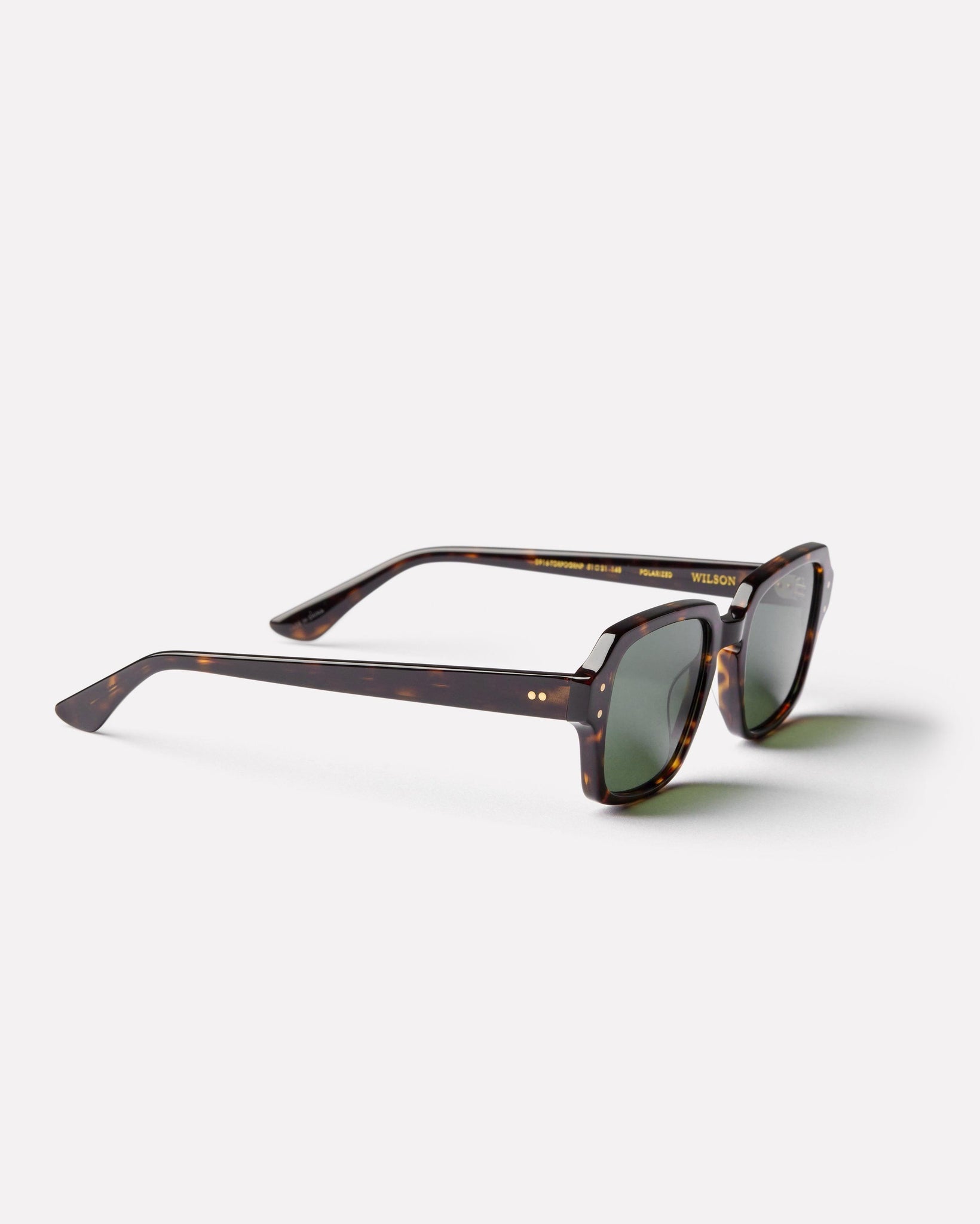 Wilson - Tortoise Polished / Green Polarized - Sunglasses - EPOKHE EYEWEAR