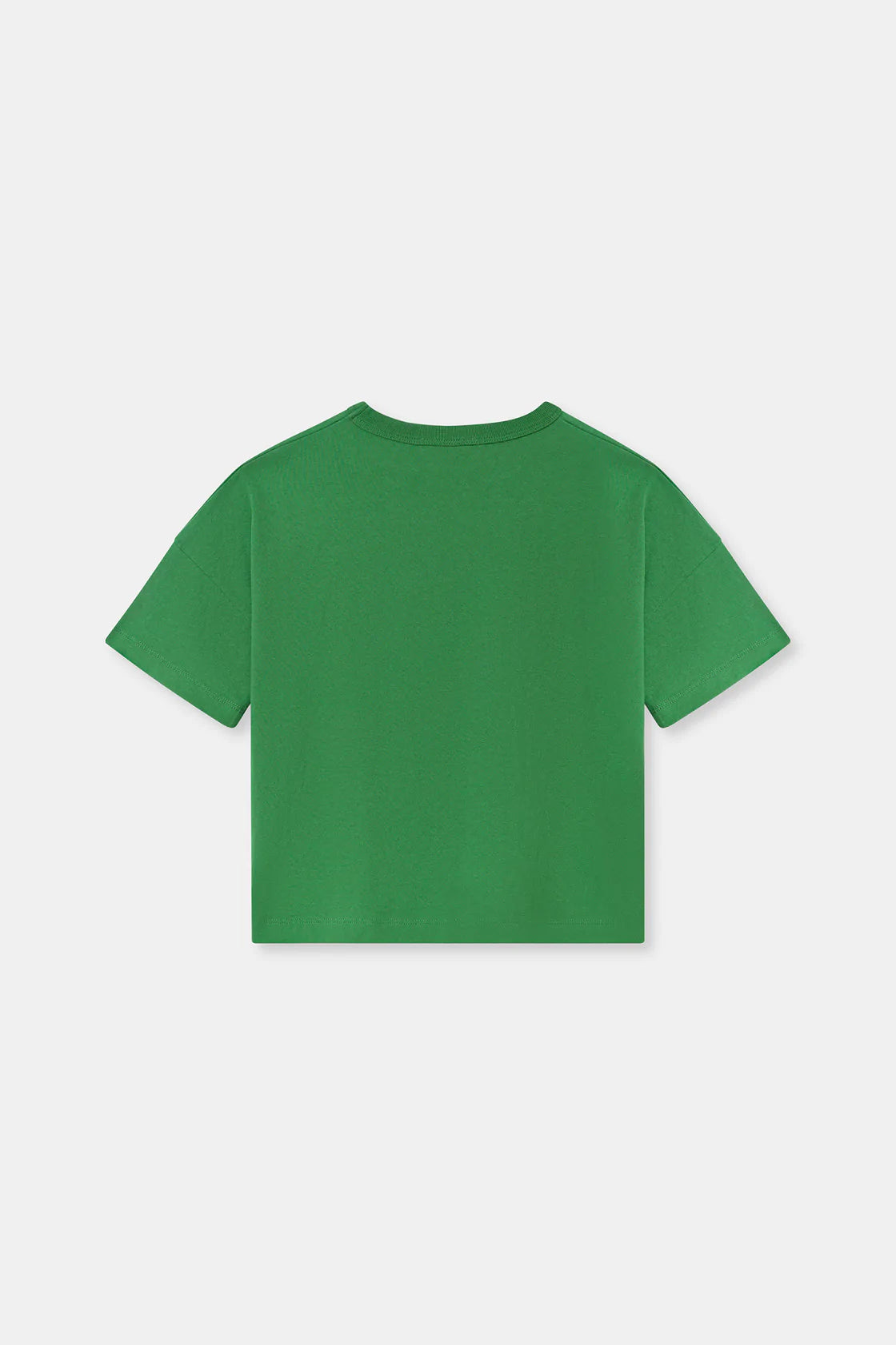 KIDS ORGANIC ESTABLISHED TEE | BERMUDA GREEN/WHITE